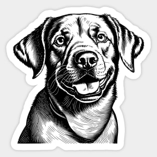 Vintage Labrador Retriever Monochromatic Illustration Old School Sticker